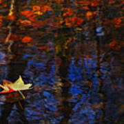 Floating In Fall Poster