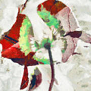 Flower Abstract Poster