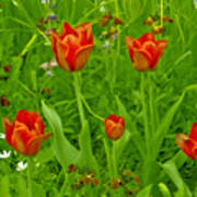 Flowers From Monet's Garden Poster