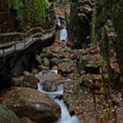 Flume Gorge Poster