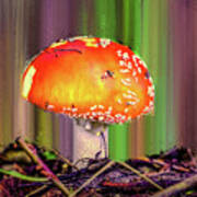 Fly Agaric #g7 Poster