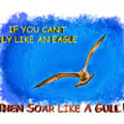 Flying Gull Poster