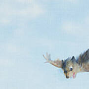 Flying Squirrel Poster