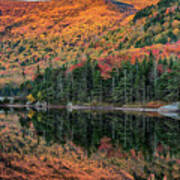 Foliage At Dawn On Beaver Pond Poster