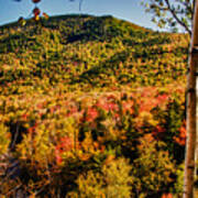 Foliage View From Crawford Notch Road Poster