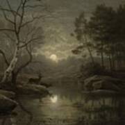 Forest Landscape In The Moonlight Poster