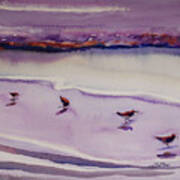 Four Sandpipers Poster