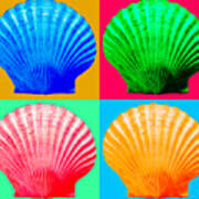 Four Sea Shells Poster