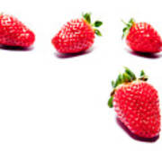 Four Strawberries Poster