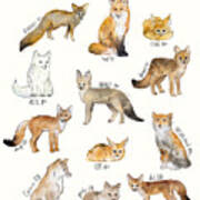 Foxes Poster