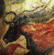 France - Lascaux Cave Paintings 2 Of 2 Poster