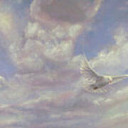 Free Spirit - White Dove Of Hope Poster