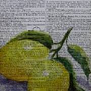 Freshest Lemons Poster