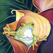 Frog In Gold Calla Lily Poster
