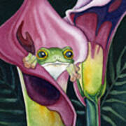 Frog In Pink Calla Lily Poster