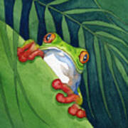 Frog On The Look Out Poster