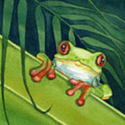 Frog Peek Poster