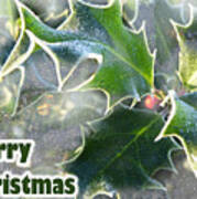 Frosty Holly Poster