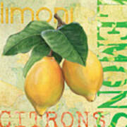 Froyo Lemon Poster