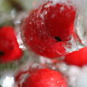Frozen Winter Berries Poster