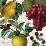 Fruit Bowl Ii Poster