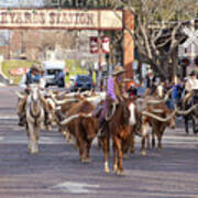 Ft Worth Longhorn Cattle Drive Poster