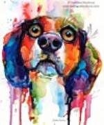 Funny Beagle Watercolor Portrait By Poster