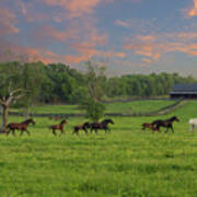 Galloping In The Kentucky Bluegrass Poster