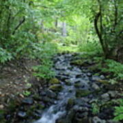 Garden Springs Creek In Spokane Poster