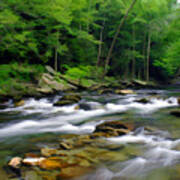 Gatlinburg Stream Poster