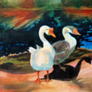 Geese At Riverside Poster
