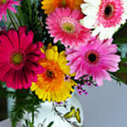 Gerbera Daisy Bouquet Poster