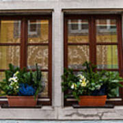 German Window Poster