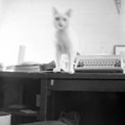 Ghost Cat, With Typewriter Poster
