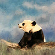 Giant Panda Poster