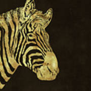 Gilt Zebra, African Wildlife, Wild Animal In Painted Gold Poster