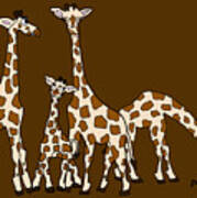 Giraffe Family Portrait Brown Background Poster
