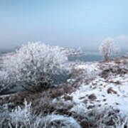 Rannoch Moor Winter Mist Poster