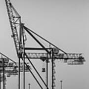 Global Containers Terminal Cargo Freight Cranes Bw Poster