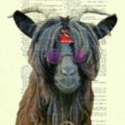 Goat In Hippie Clothes With Purple Glasses And Peace Necklace Poster