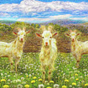 Goats In The Dandelions Poster