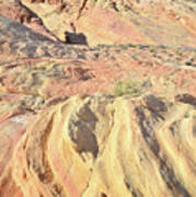 Gold Ridge In Valley Of Fire Poster