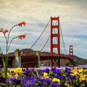 Golden Gate Bridge, Summer Poster