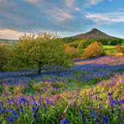 Golden Hour At Roseberry Topping Poster