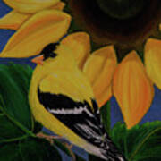 Goldfinch And Sunflower Poster