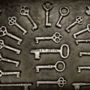 Gothic Skeleton Key Collection In Black And White Poster