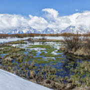 Grand Tetons From Willow Flats In Early April Poster