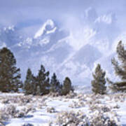 Grand Tetons In Winter Snowstorm Poster