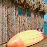 Grass Hut On Ambergris Caye Belize Poster