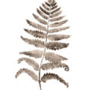 Gray Fern Watercolor Art Print Painting Poster